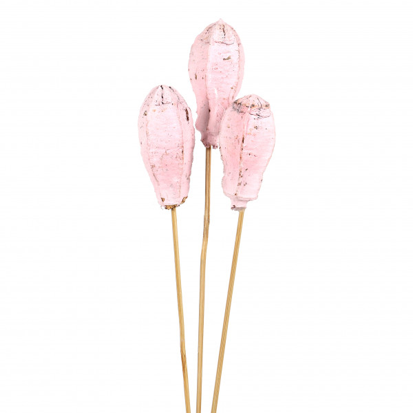 Mehoste am Stiel (Fensterkarto n x 100 St.) soft rose frostet