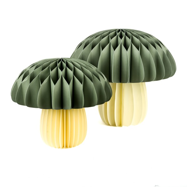 Papier-Pilz