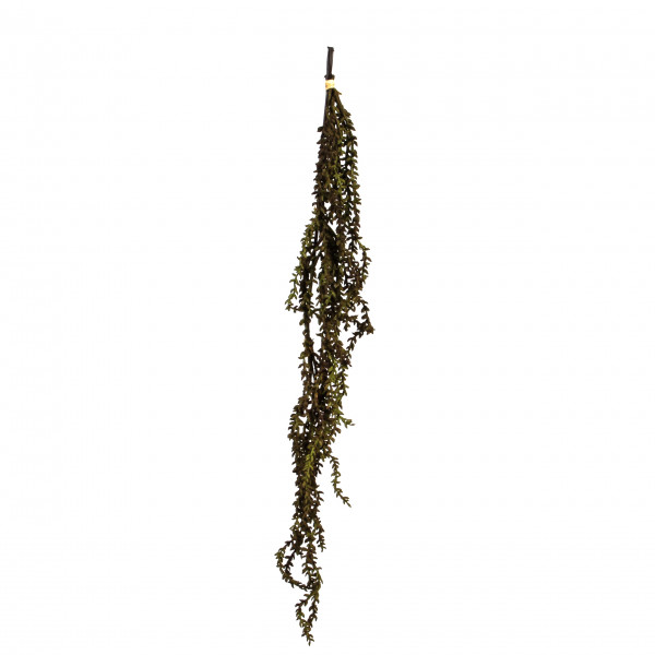 Amaranthusbündel, 55 cm, grün- burgund