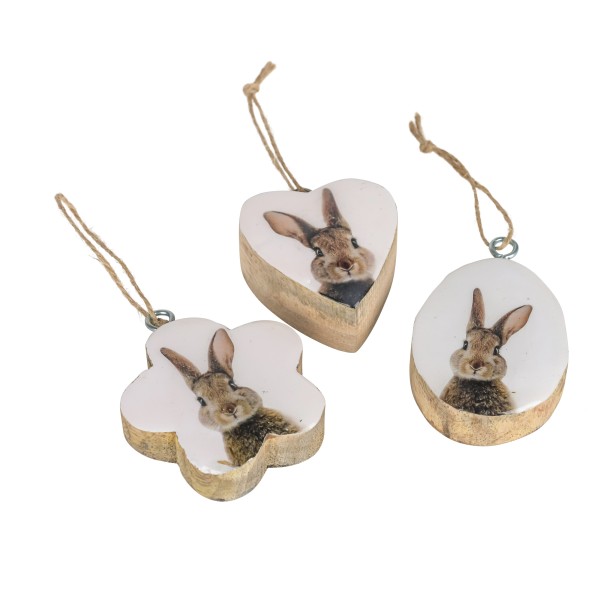 Holz-Hänger Hase im Glassgefäß,VE=40 Stk Blume/Herz/Ei, 3Formen sort