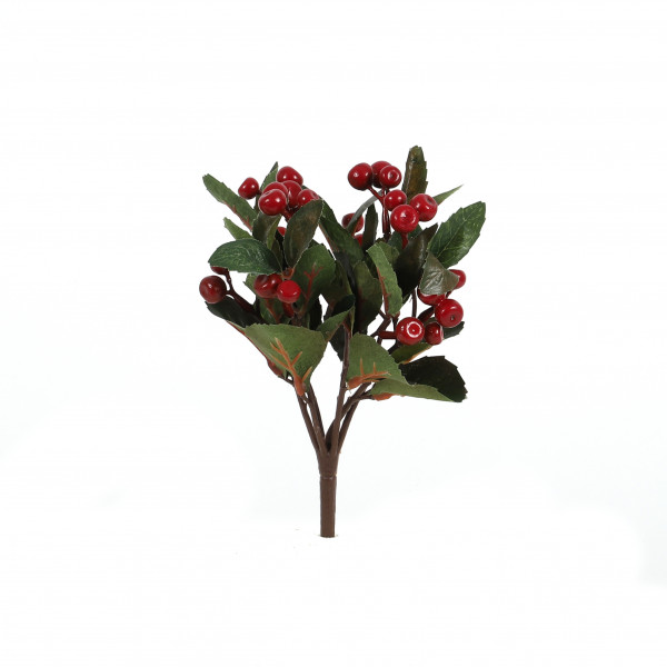Gaultheria-Busch x 7, 21 cm rot-grün