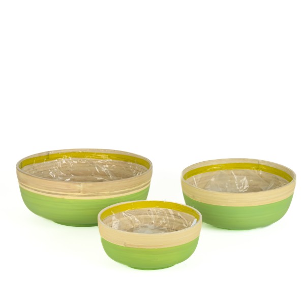 Bambus - Pflanzschale