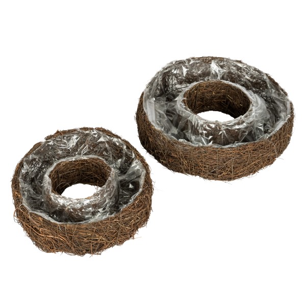 Mylenbeckia Pflanzring Set/2, natur Durchmesser 28/36 cm