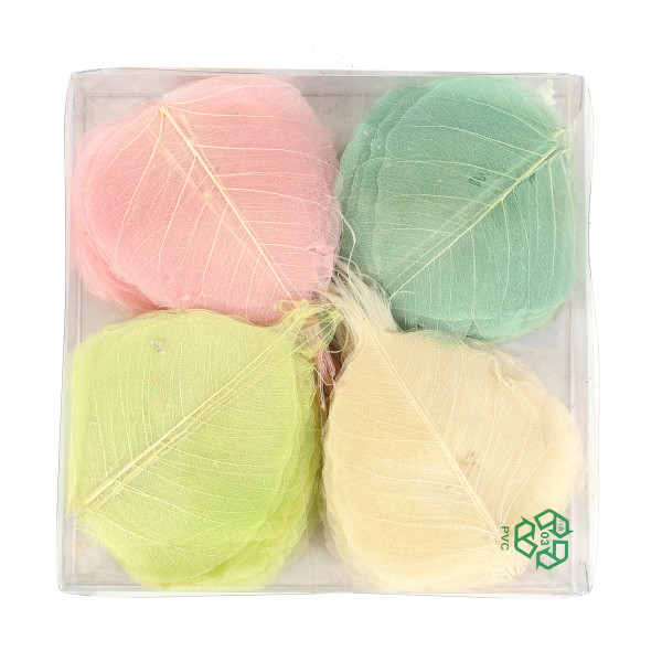 Skelletblätter Box x200 Stk. rosa,mint,weiß,hellgrün