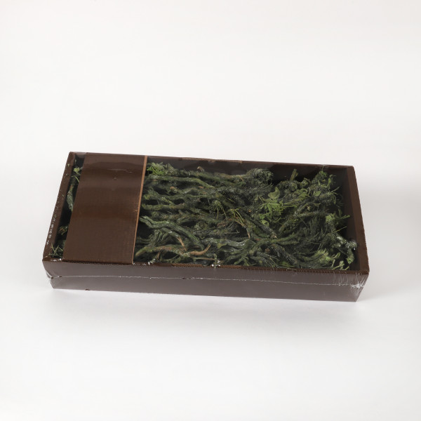 Stachy Tray 750 gr grün frostet