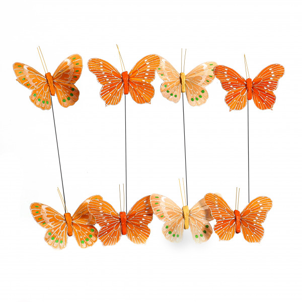 Federschmetterling
