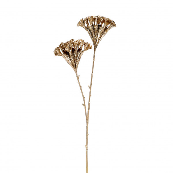 Celosia x 2, 73 cm, gold