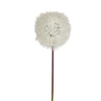 Pusteblume, weiß, 80cmx13cm Dia. Pusteblume, weiß, 80cmx13cm Dia.