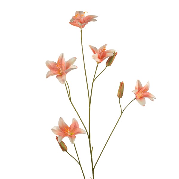Lilie, 106cm, pfirsich