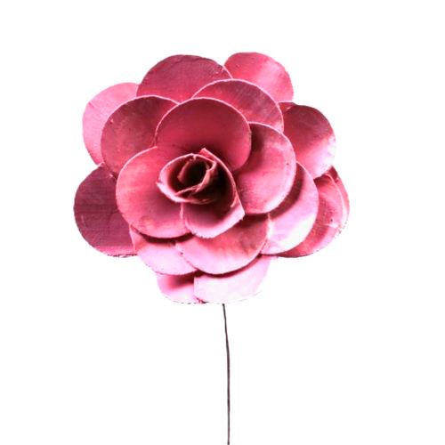 Deco Palm Rose 8cm rot (Fensterkartonx20 St.)
