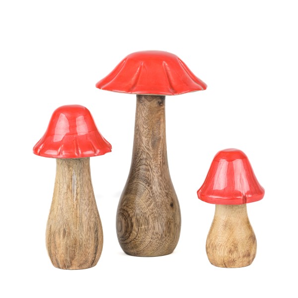 Holz-Pilz