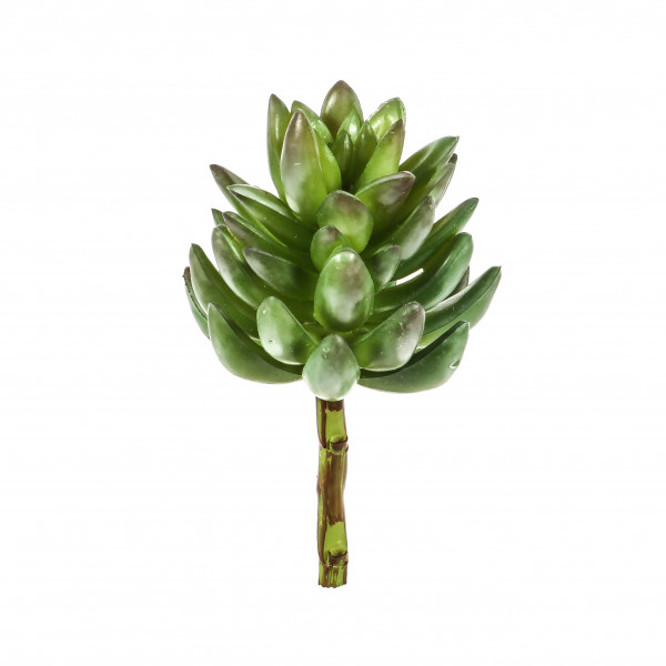 Sukkulenten-Pick, 17.5cm grün