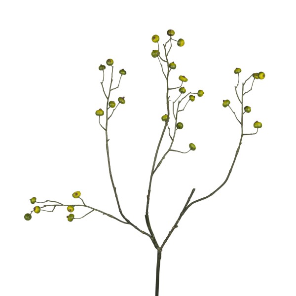 Hagebutten-Zweig, 82 cm, grün