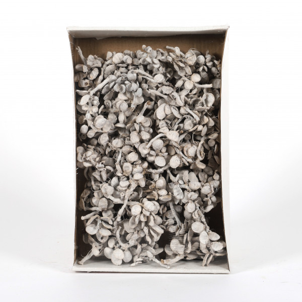 Moon bruch ( 400 gr Fensterkarton) white washed