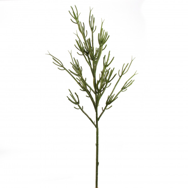 Rhipsalis-Zweig, 139cm, grün