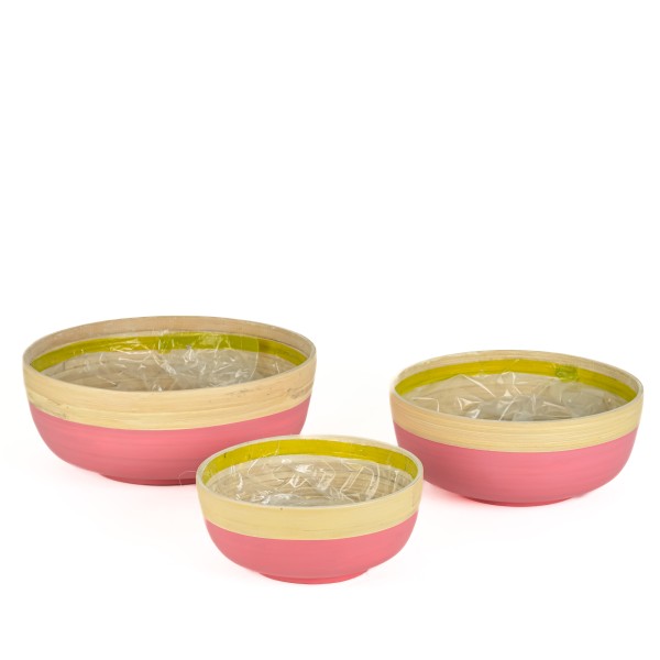 Bambus - Pflanzschale