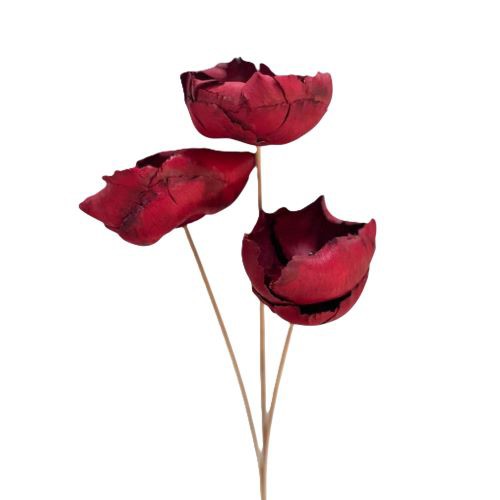 Palmblüte am Stiel rot (Polybeutel x50St.)