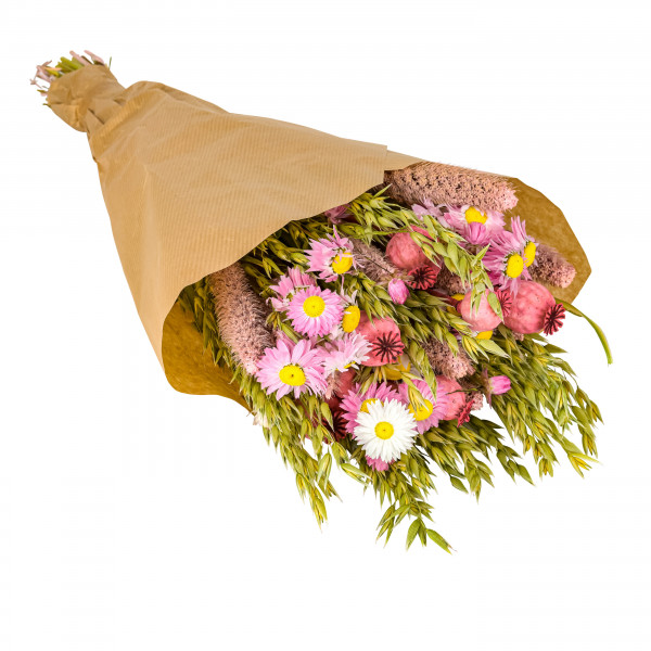 Trockenblumen Strauß Ibiza 50cm rosa