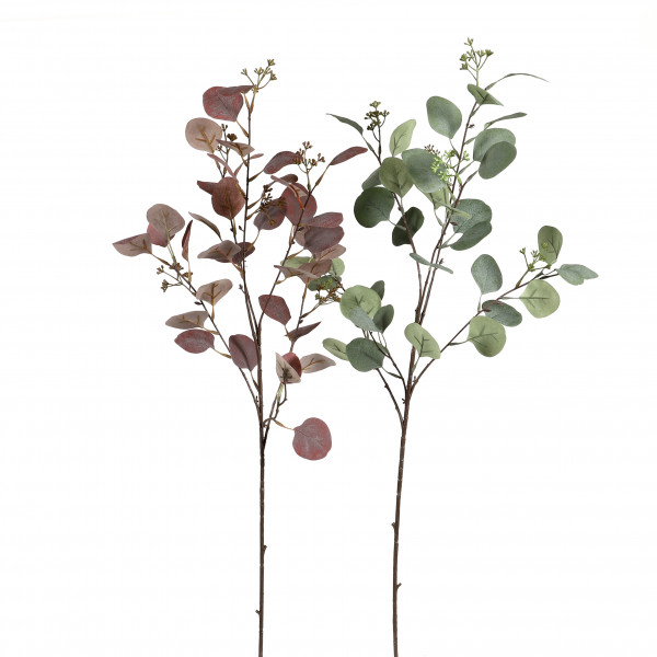 Eucalyptus-Zweig, 88 cm