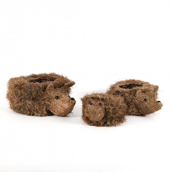 Pflanz-Igel, Jaro sitzend, Naturgras