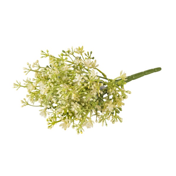 Sedum blühend, creme, 28cm