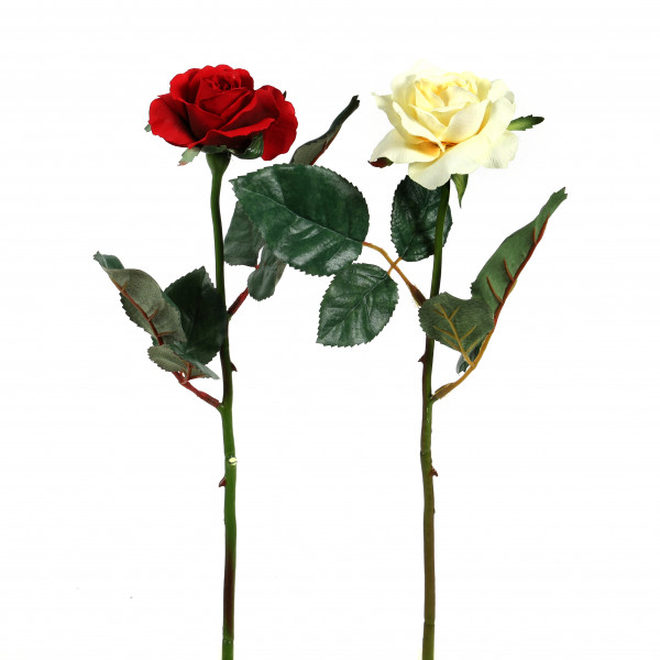 ROSE SWEETHEART