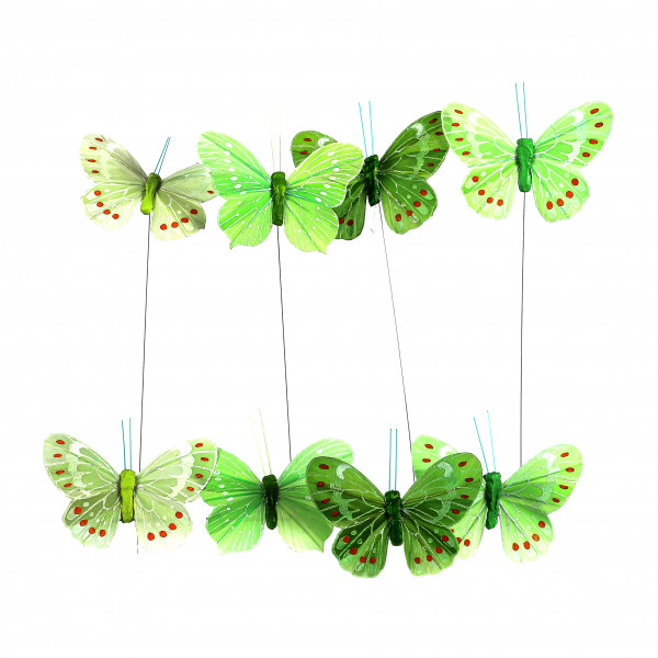 Federschmetterling