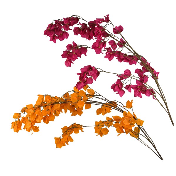 Bougainvillea Ibiza , 175 cm