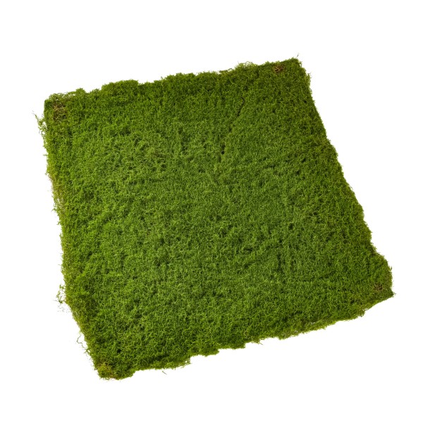 Moosmatte, grün, 50x50 cm