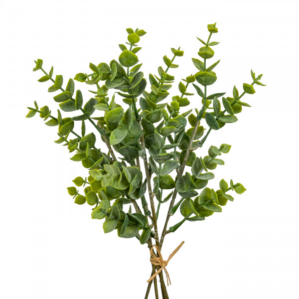 Eucalyptus, Bundx4 grün, 26 cm