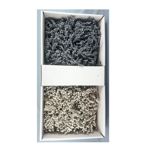 Canella Mix je 25 psc frosted,black frosted (Fensterkartonx 50)