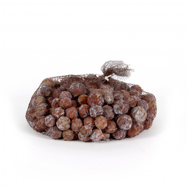 Estrilinia Eicheln 1 Kg Netz