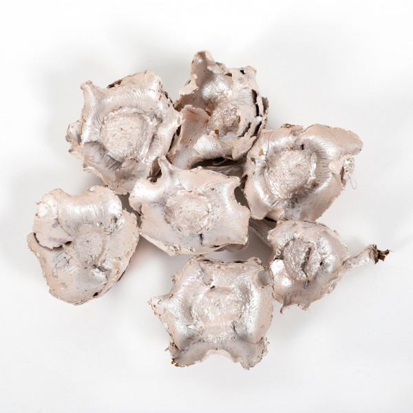 Coco Flower lose(Fensterkarton x500 gr ) metallic champanger
