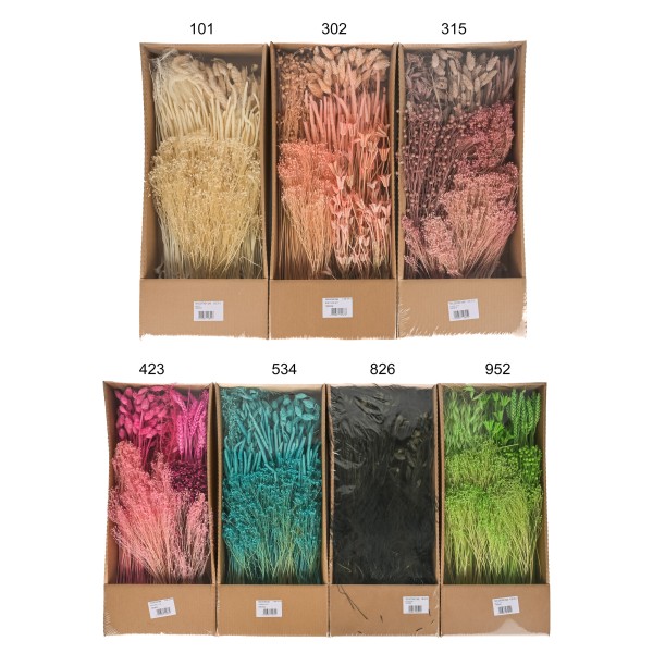 Gräser Trend Sortiment Mix