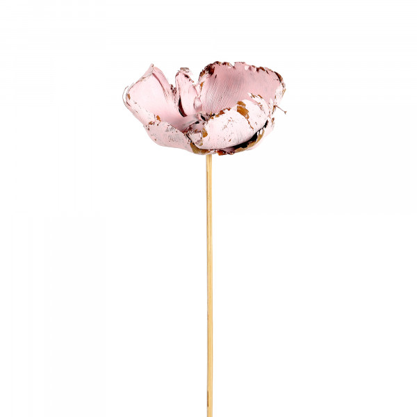Palmblüte am Stiel ( Polybeute l x 50 St.) soft rose frostet