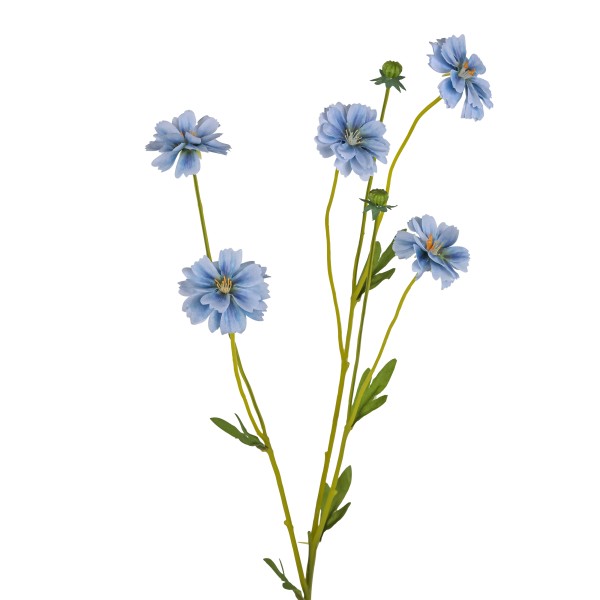 Kornblume, 64 cm, blau