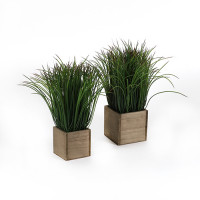 Gras in Holztopf quadratisch Gras in Holztopf quadratisch