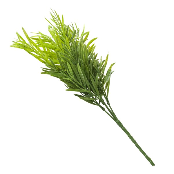 Podocarpus-Busch, grün, 35cm