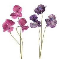 Phalaenopsis-Zweig Monaco , 62 cm Phalaenopsis-Zweig Monaco , 62 cm