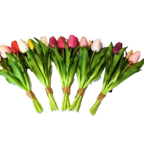 Tulpe Den Haag ,30cm Bund/5 St.