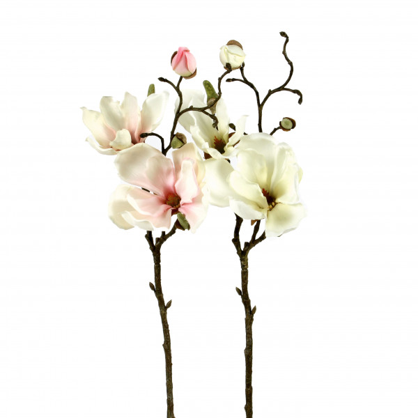 Magnolienzweig, kurzstielig, 48 cm
