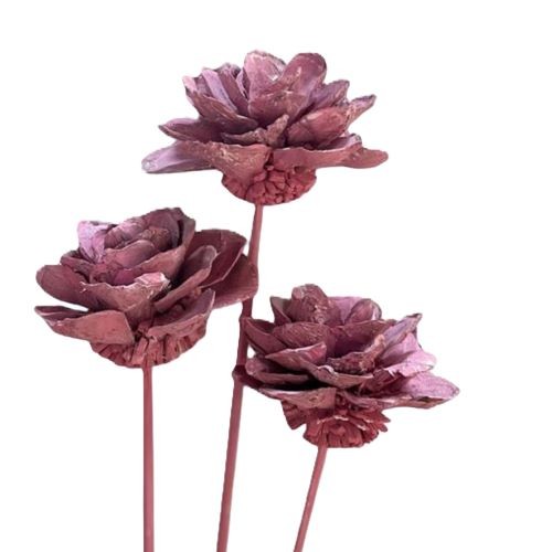 Strobusflower am Stiel rose frostet (Fensterkarton x 50 Stück)