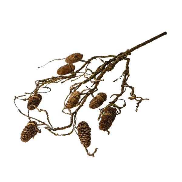 Zapfen-Ast, braun-natur, 108cm