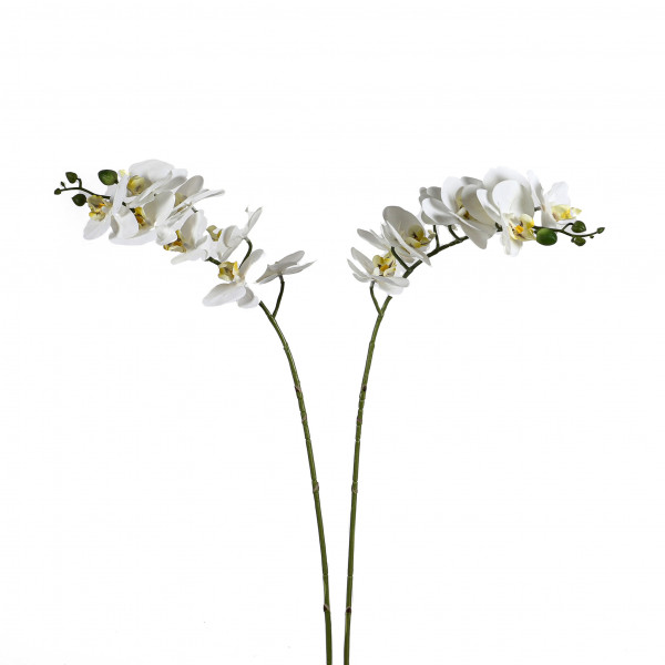 Phalaenopsis-Zweig x 8 Blüten, 77 cm, weiß