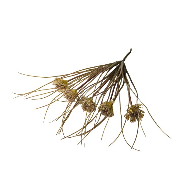 Distel-Busch mit Gras, pink, 49cm