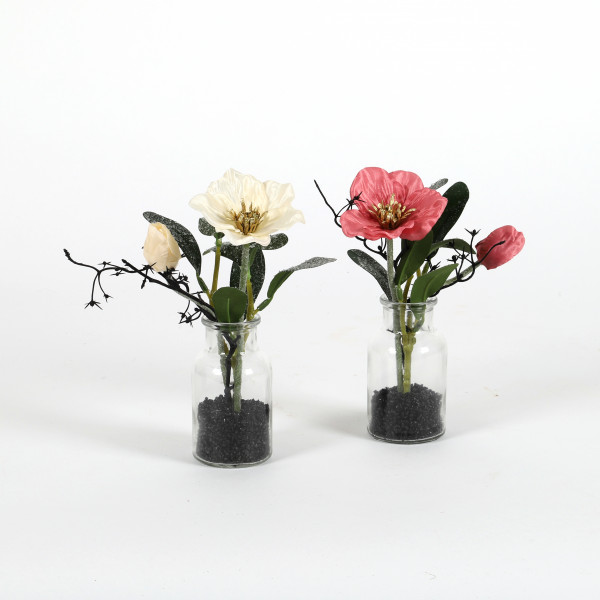 Christrose in Vase, 20 cm beeist