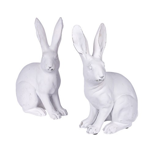 Poly Hase Master Ed 2 Modelle sortiert 18x12xh28cm, weiß-matt