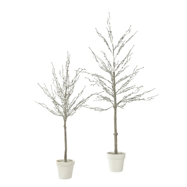 Baum mit Schnee getopft, weiß