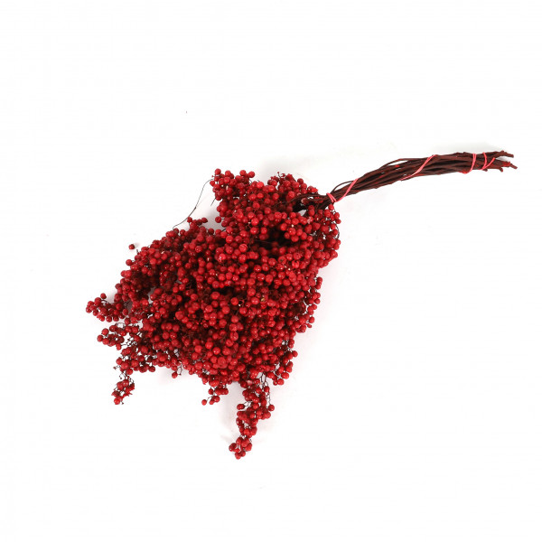 Pfefferbeeren Bund 200 g rot