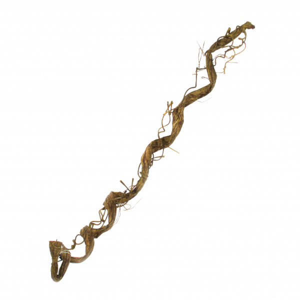 Liane, 122cm, natur